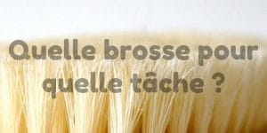 Lire la suite à propos de l’article Quelle brosse pour quelle tâche ?