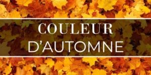 Lire la suite à propos de l’article Couleur d’automne